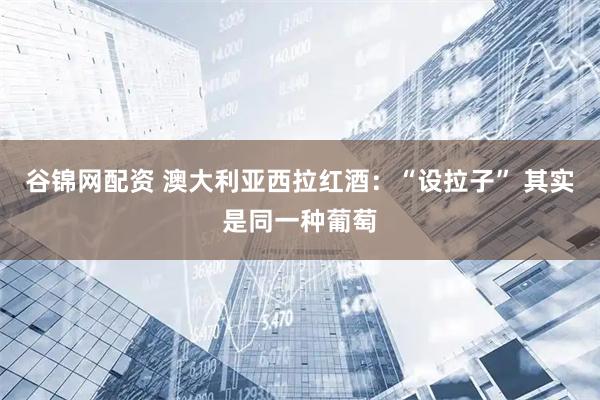 谷锦网配资 澳大利亚西拉红酒：“设拉子” 其实是同一种葡萄