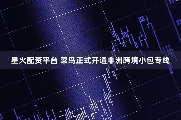 星火配资平台 菜鸟正式开通非洲跨境小包专线