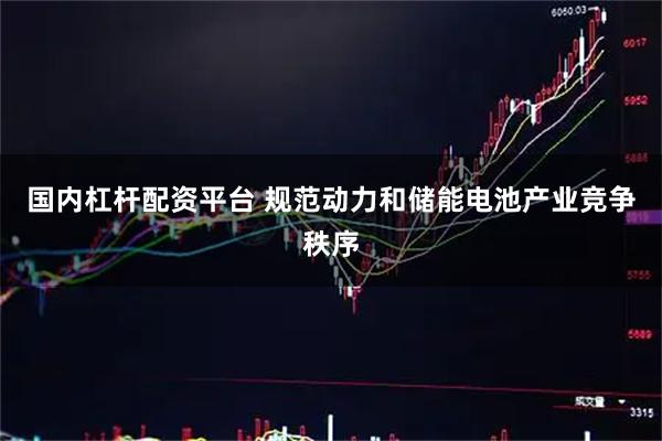 国内杠杆配资平台 规范动力和储能电池产业竞争秩序