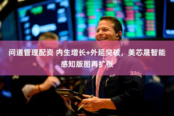 问道管理配资 内生增长+外延突破，美芯晟智能感知版图再扩张