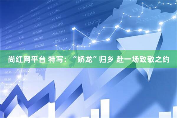 尚红网平台 特写：“娇龙”归乡 赴一场致敬之约