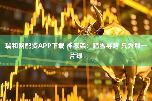 瑞和网配资APP下载 神农架：踏雪寻路 只为那一片绿