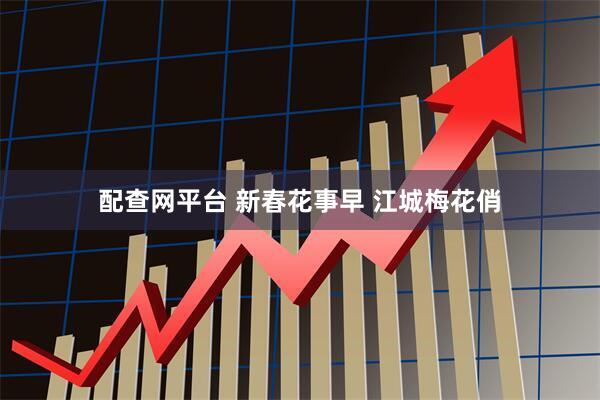 配查网平台 新春花事早 江城梅花俏